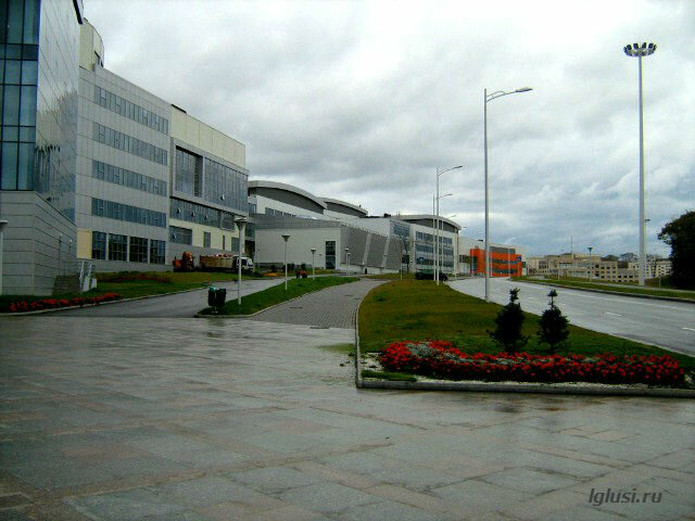 / остров Русский,ДВФУ