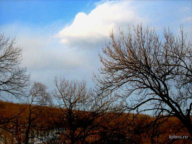 /  на окраине Партизанска