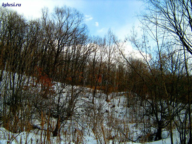 /  на окраине Партизанска