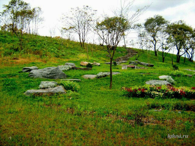 / остров Русский,парк ДВФУ