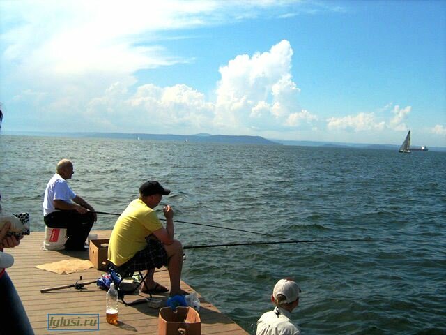 Владивосток 2013, День Рыбака, /